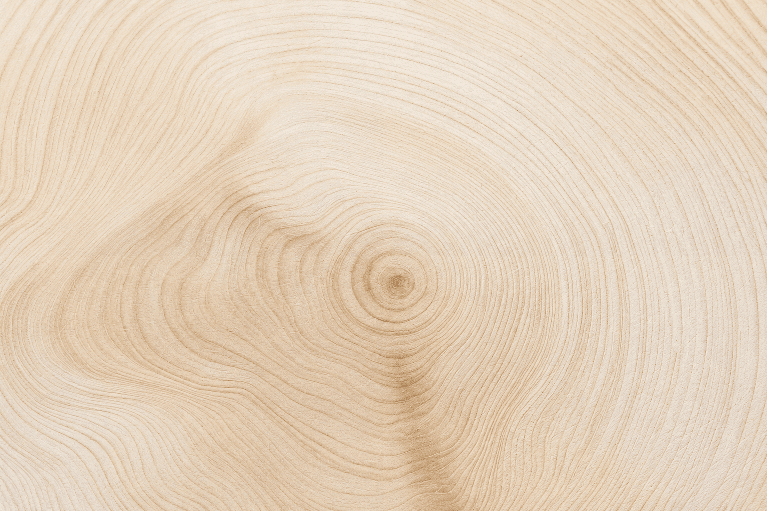 Prodotti per legno