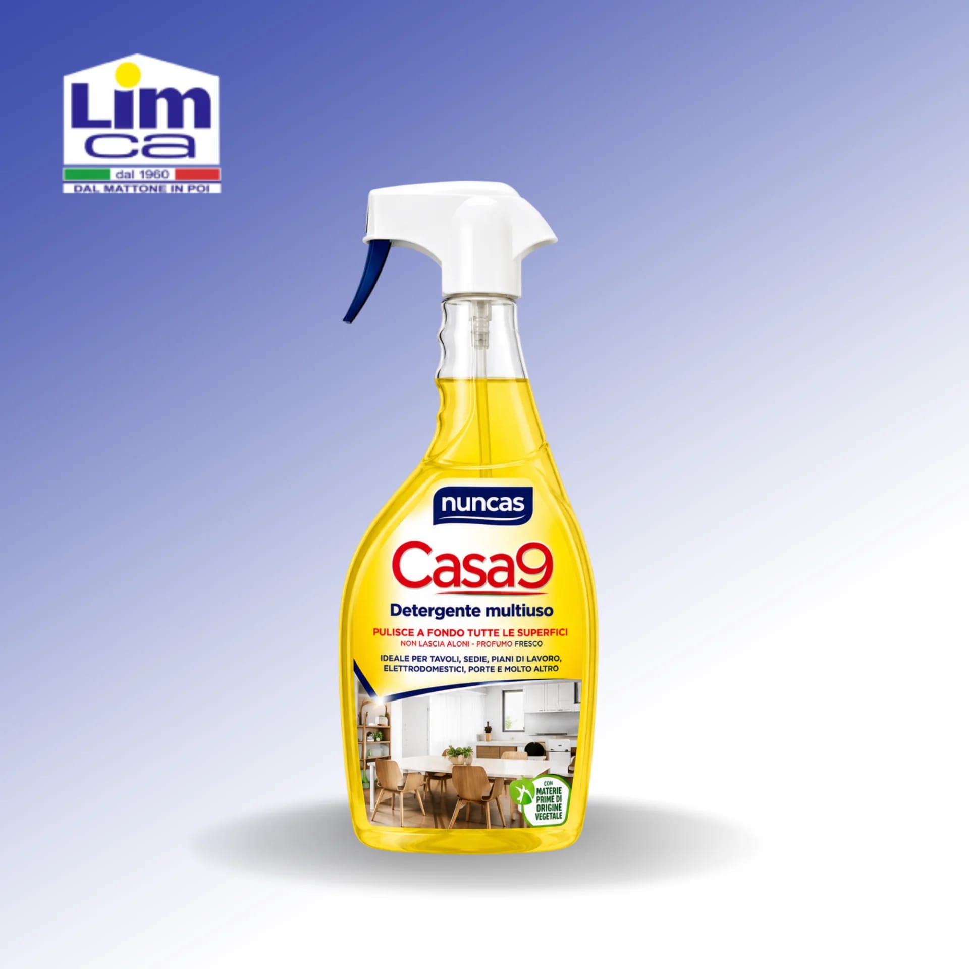 CASA9 - Detergente multiuso