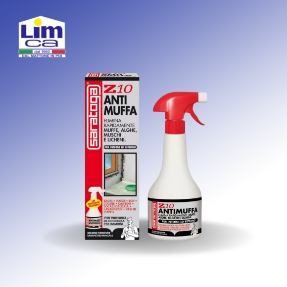 Immagine di SPRAY ANTIMUFFA Z10 - per interni ed esterni